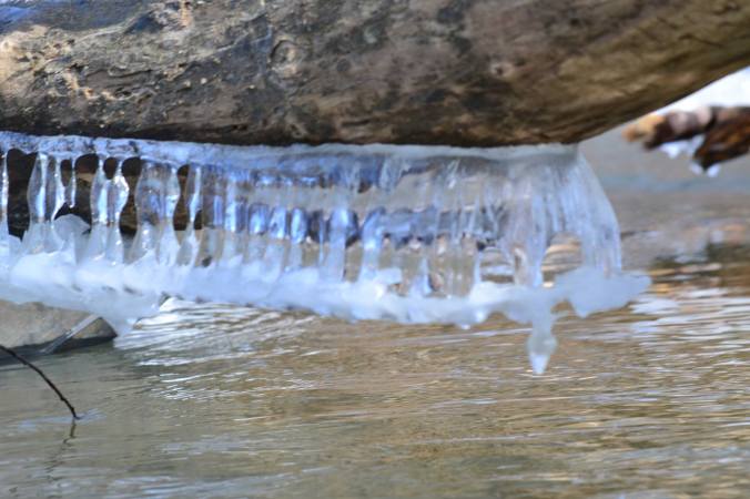 12615295_10153429334043041_2749131568976054434_o