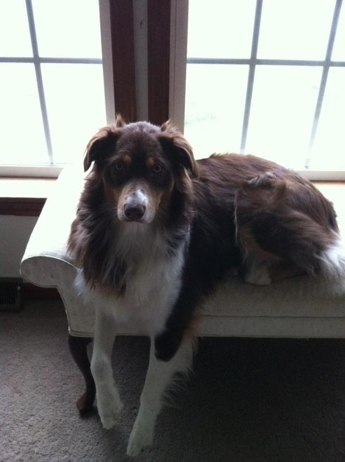 420975_10150628801308041_1242883318_n