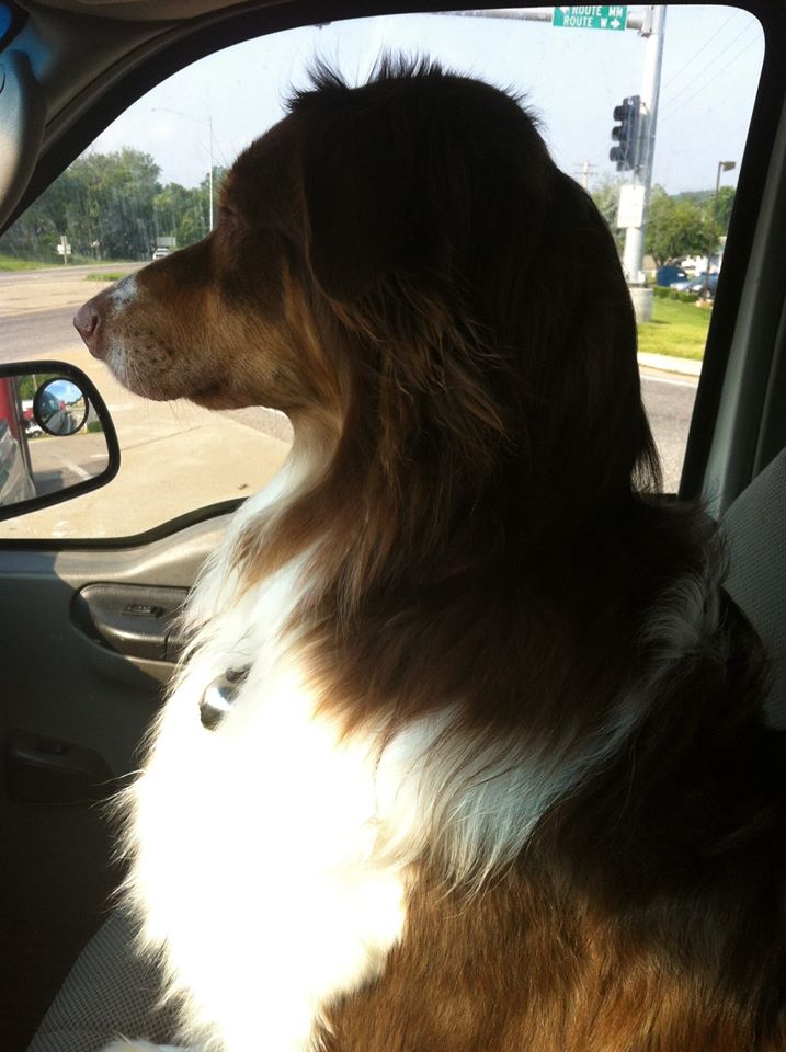 12120122_10153226619883041_5854805285195725208_o