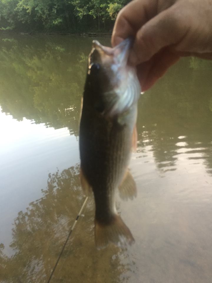 11231688_10153106875803041_2925017138980132812_n