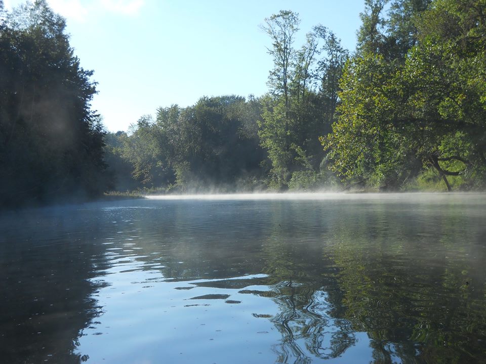 11855688_10153107735468041_6490598478648465203_n