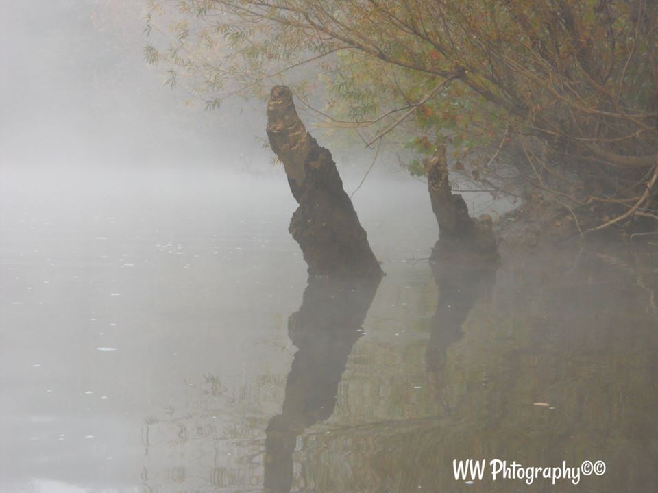 11990378_10153165676898041_5889777444624569250_n