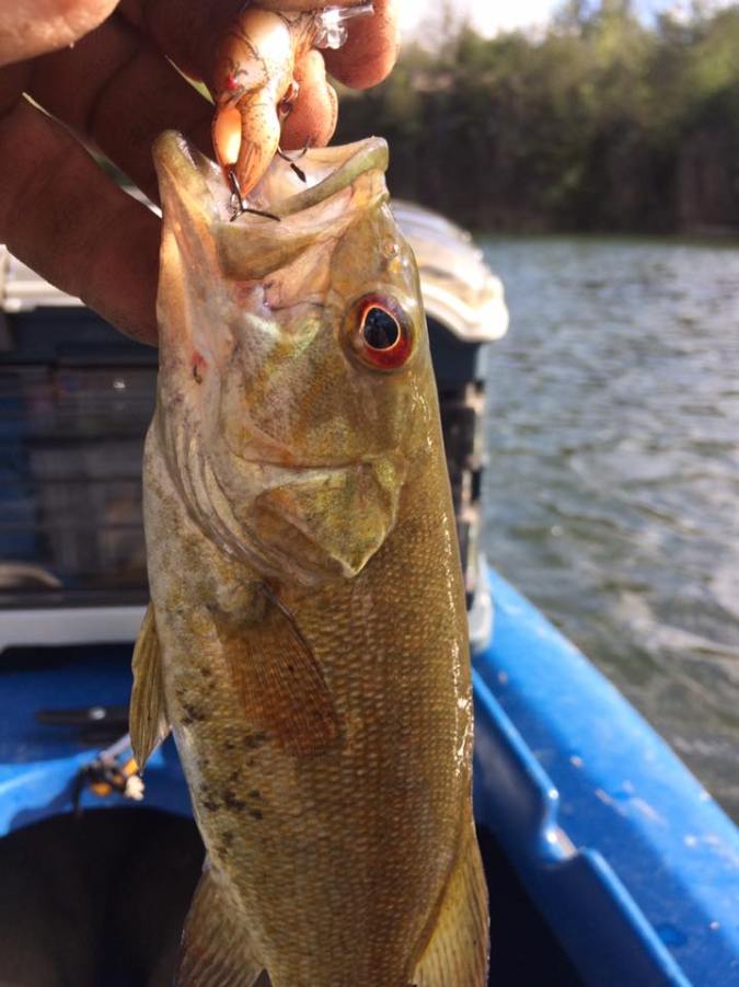 18057192_10154596178713041_2395092839492936941_n (1)