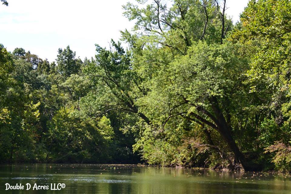 14088517_10153914141853041_1690051402523400180_n