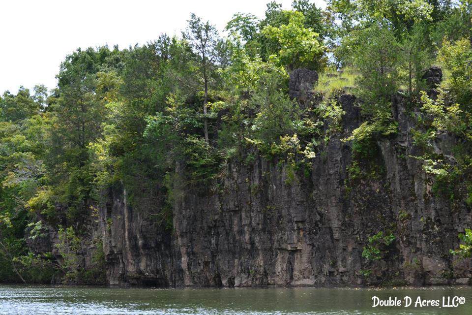 14102395_10153914142043041_5517971233640166969_n (1)