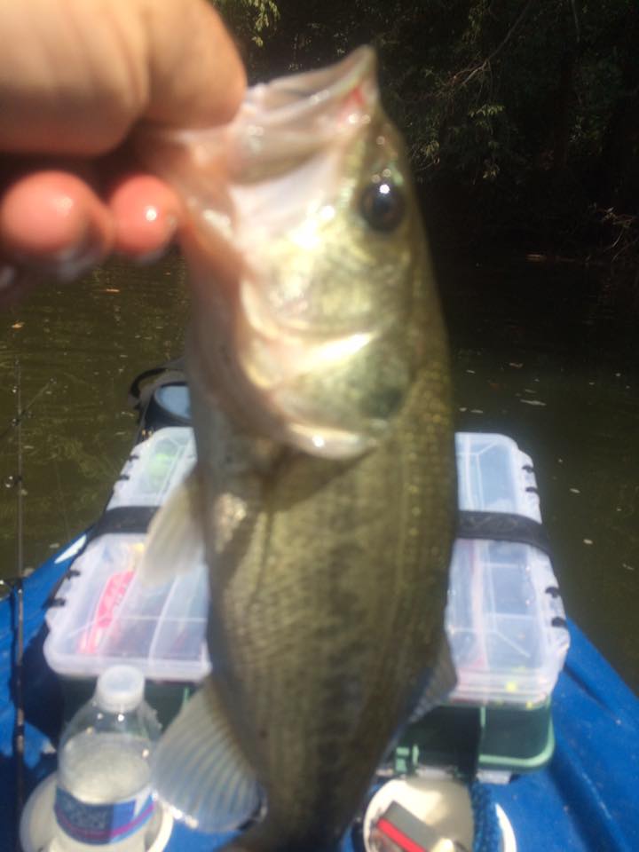 14202580_10153954221183041_9095298953499340035_n