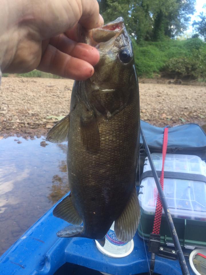 14203379_10153954221153041_6004931827358917054_n