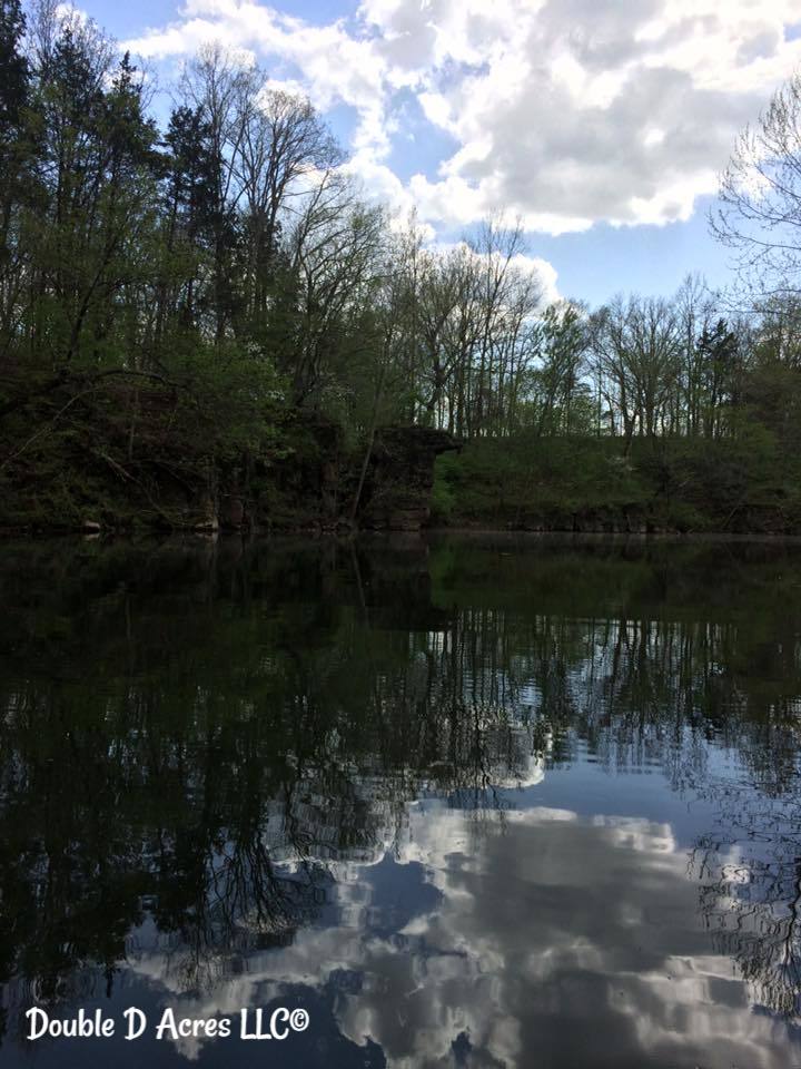 18010239_10154596192223041_6277849894043456657_n (1)