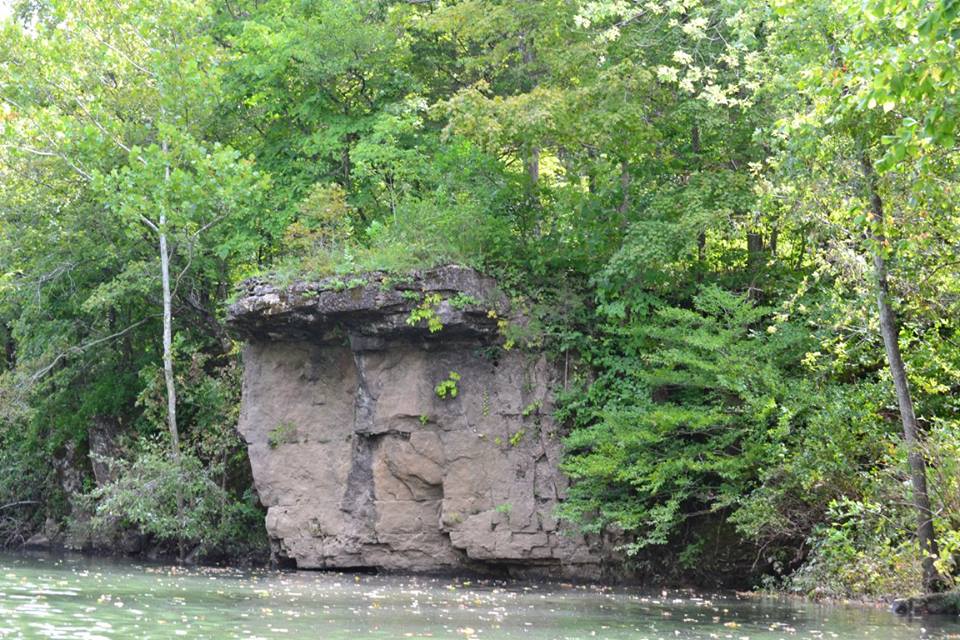 14051575_10153914141918041_5227124425302298728_n