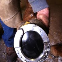 484120_10151848184517942_720488506_n