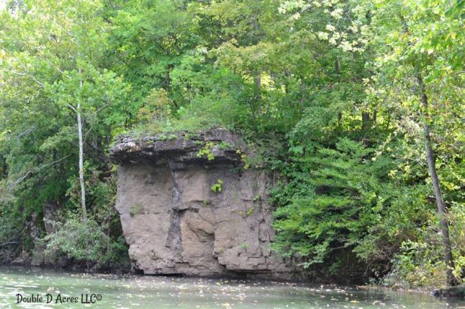 14051575_10153914141918041_5227124425302298728_n (1)