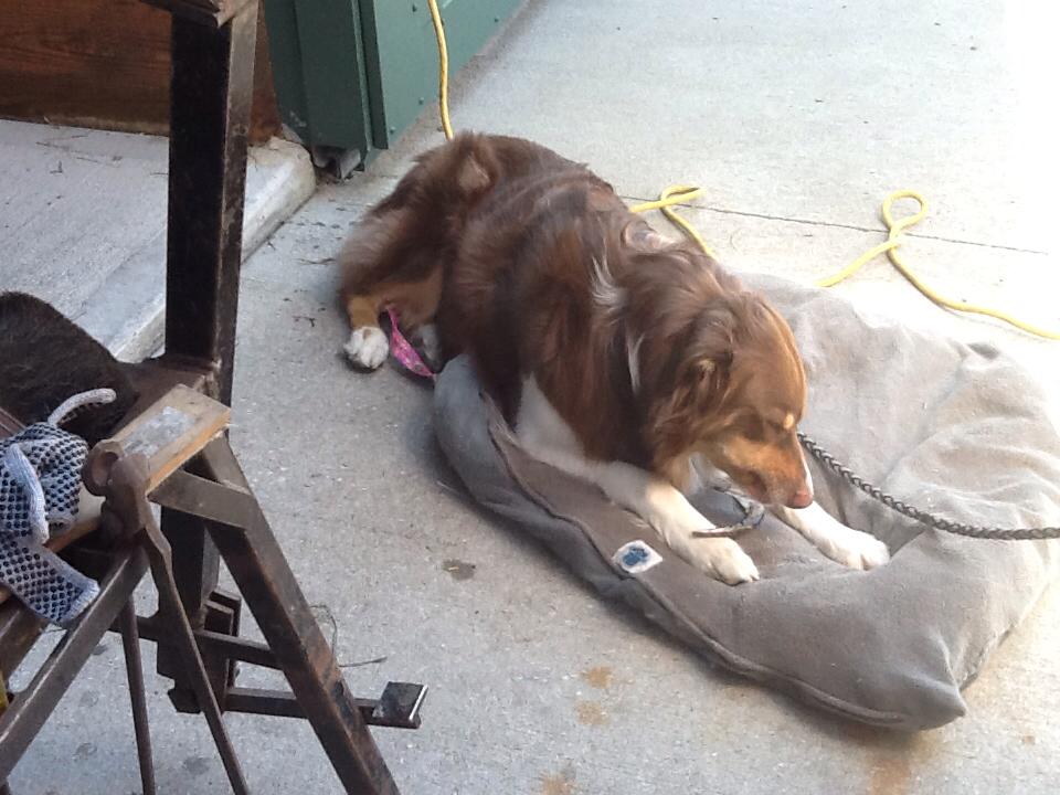 10174966_10152104587103041_1598876884537563152_n