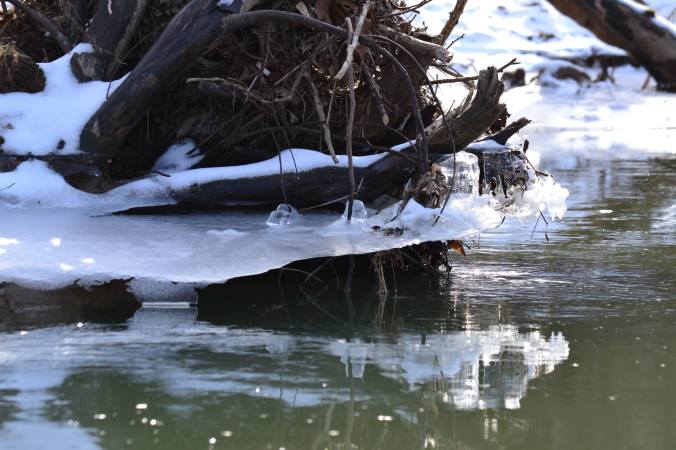 12622447_10153429330548041_8816663003413108953_o