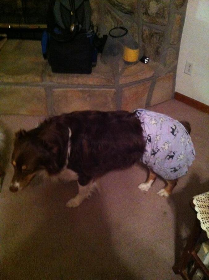 179927_10150862397223041_920467577_n