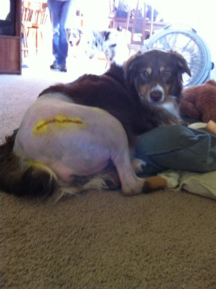 540012_10150826463023041_908970282_n