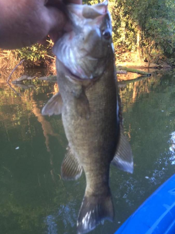 14203315_10153963553328041_5930352016865734789_n