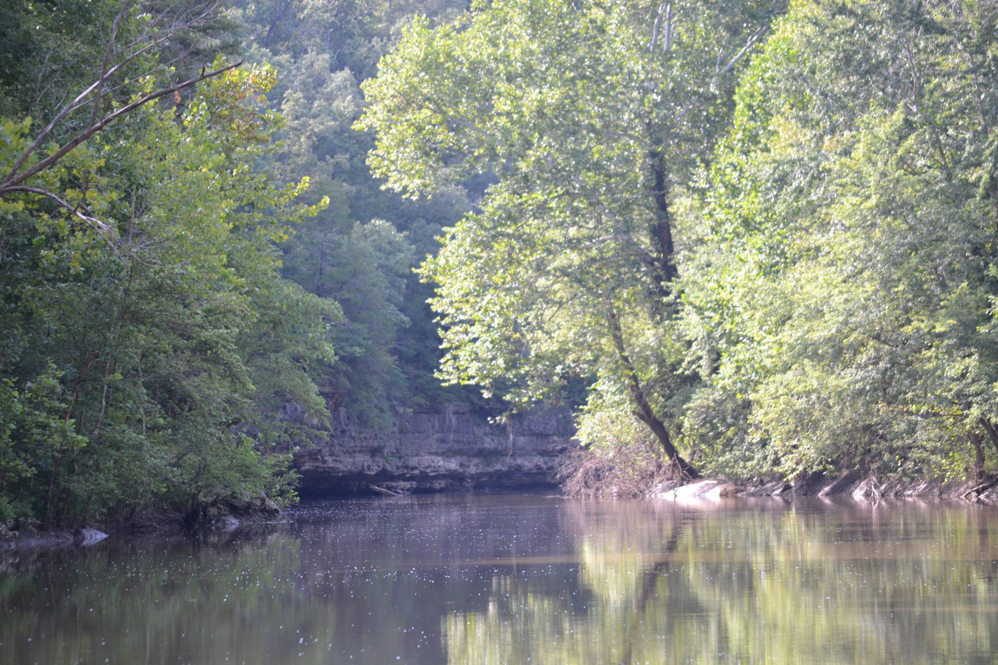 11823090_10153121920288041_2201139296201286818_o