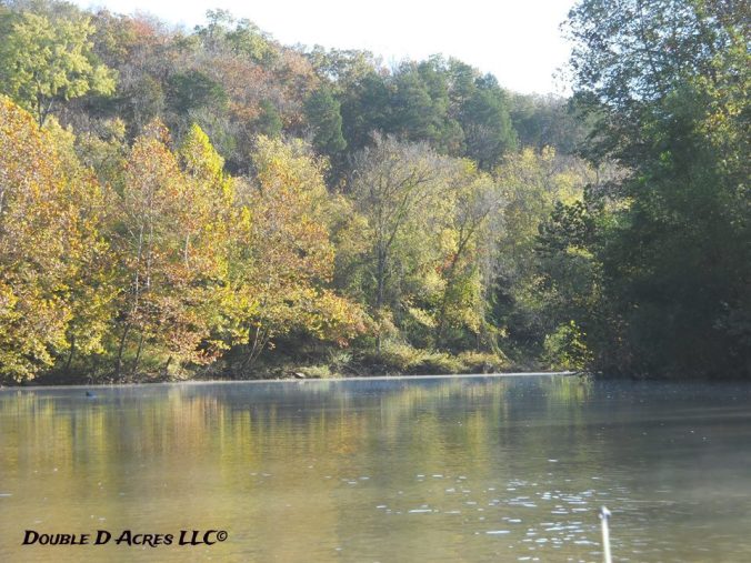 12036785_10153194661418041_5005995415983813722_n